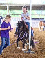 Rodeo