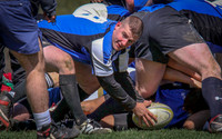 IMG_0967