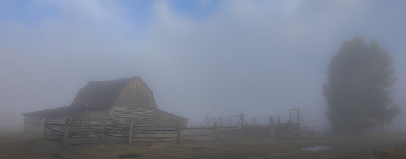 Foggy Morning