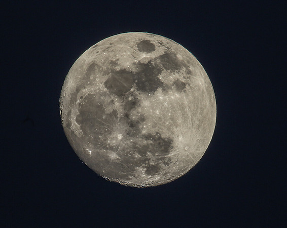 Full Moon