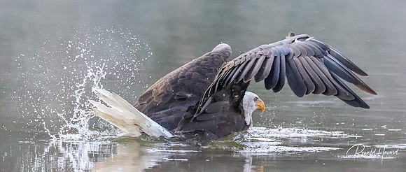 Bath Time