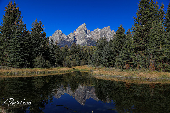 Reflections